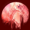 @Red_Eclipse@hexbear.net avatar