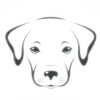 dogs@lemmy.world avatar