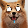 @forgetful_fox@pawb.social avatar