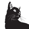 @Black_Cat@lemmy.world avatar