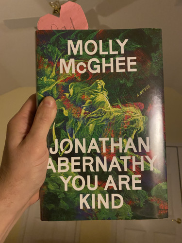 I am holding up the book JONATHAN ABERNATHY YOU ARE KIND by Molly McGhee. Cover illustration is of a cloaked figure riding a horse and wielding a scythe. 
