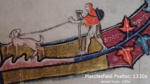 Guide dog on a long lead, looking back at his human who is walking purposefully with closed eyes and staff. The dog looks cheerful and enthusiastic, resembling a labrador puppy? The human looks confident, striding forward barefoot; he wears a short red hooded cape over a knee-length tunic. Detail of illumination from the Macclesfield Psalter, f.85r; dated to 1330s.