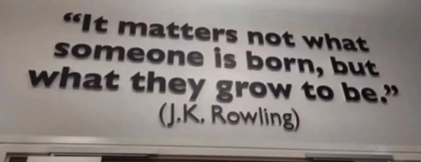 It matter not what someone is born, but what they grow to be.
-J.K. Rowling 