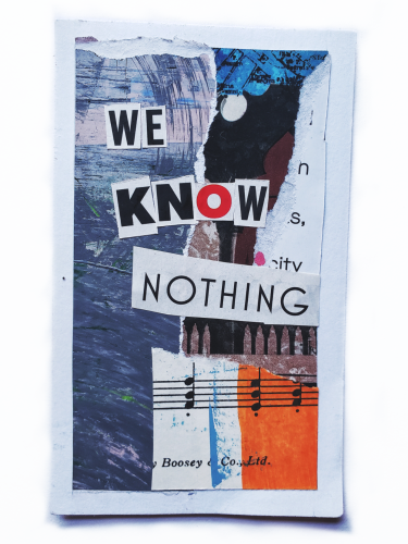 a collage of torn page with cut out letters that spell the words "we know nothing"