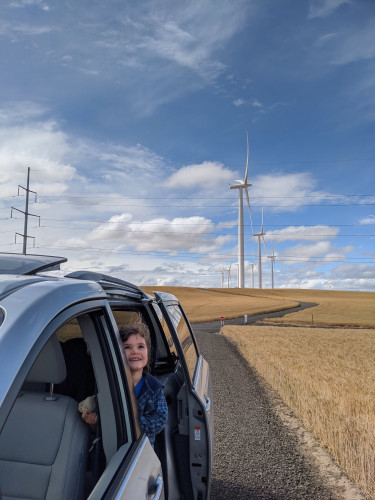 Child leaning out of a car, staring up in wonder at a series of giant wind turbines visible stretching behind them to the horizon over a series of wheat fields and rolling hills.