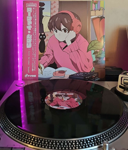 A black vinyl record sits on a turntable. Behind the turntable, a vinyl album outer sleeve is displayed. The front cover shows young man sitting at a desk writing in a book while wearing headphones. There is a black cat sitting near him, an audio mixer on the desk, and small shoe. 