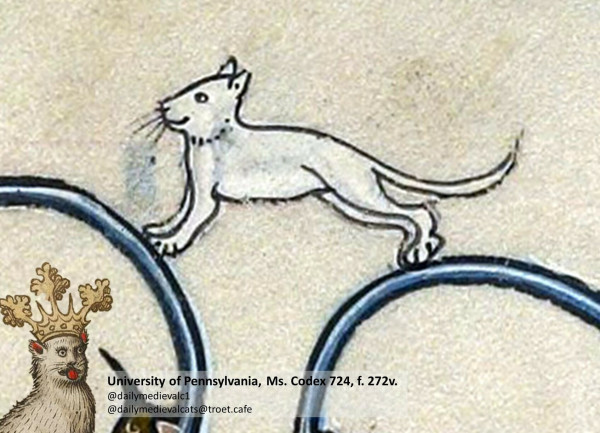 Picture from a medieval manuscript: A cat smiling