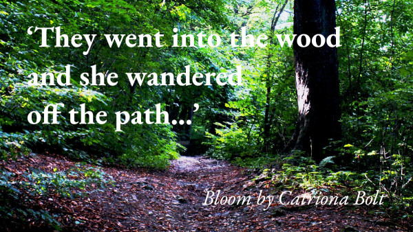 A path in the woods, with a quote from Catriona Bolt's short story Bloom: 'They went into the wood and she wandered off the path…'