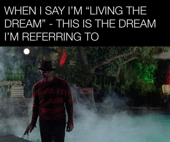 TEXT: 'WHEN I SAY I'M "LIVING THE DREAM" - THIS IS THE DREAM I'M REFERRING TO'
Image shows a picture of Freddy Kruger in a misty nightmare scene