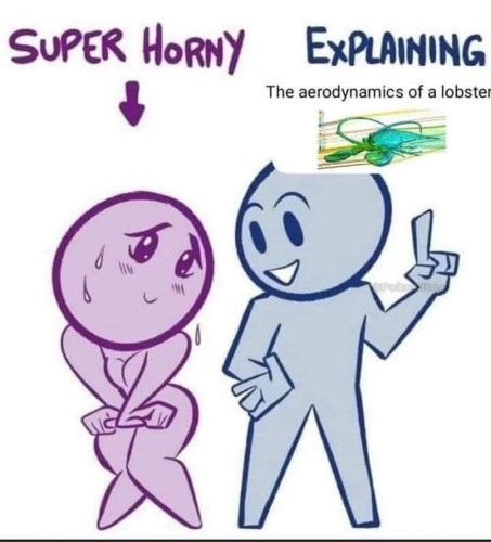 Meme where two characters, one with a bluish tone on the right of the image, point their finger upwards and look at the other with a friendly expression.  Above it, the caption reads: "Explaining the aerodynamics of a lobster", followed by an image of a computational fluid dynamics analysis of said lobster.  The other character has a pinkish tone, and is located on the left of the image. They're squirming and looking at the other lewdly.  Above them, the caption reads: "Super horny"