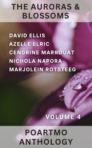 The front cover of the ebook 'The Auroras & Blossoms PoArtMo Anthology Volume 4' with the names of the contributors and pink petals with rain or dew drops.
