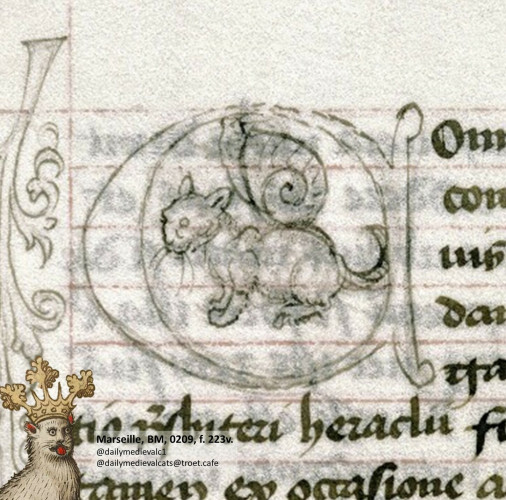 Picture from a medieval manuscript: A cat and a snail shell
