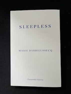 Cover of Sleepless by Marie Darrieussecq. Cover is plain white with text in blue writing.
