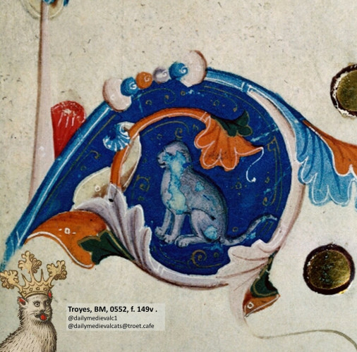 Picture from a medieval manuscript: A cat in a blue bubble.