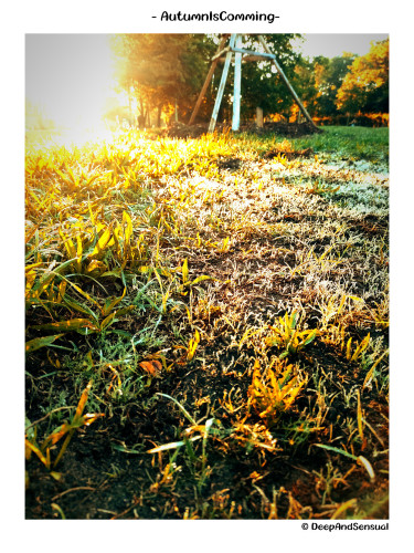 Foto von einer Wiese im Lene-Voigt Park in Leipzig.
Zu sehen ist Grün-gelbes Gras im Gegenlicht aufgenommen. Es ist Stellenweise Raureif auf dem Gras. Das Bild ist mit Kontrasten, Helligkeit, Belichtung und Wärme nachbearbeitet.