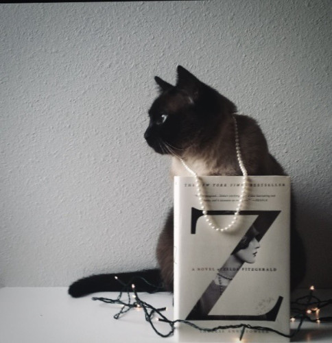 A softer focused picture of Brontë (cat), wearing a strand of pearls while sitting behind the book, Z, by Therese Anne Fowler. A small strand of clear Christmas lights is at her feet.