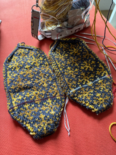 Front: two front slipper feet with two color pattern. Waste yarn visible to insert cuff. Back:
Project bag