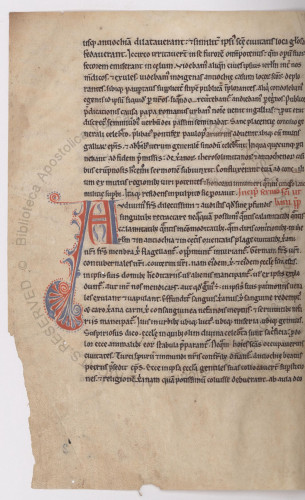 A page from Vatican Ott.lat.1089, f.2v. It contains a single column of 10th C latin with a large decorative A on the left side