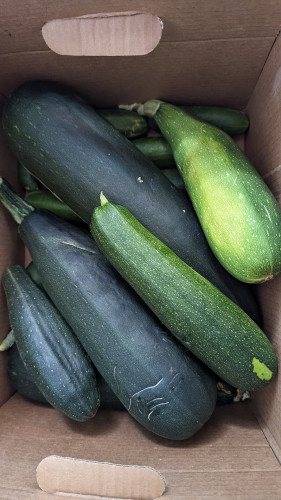 A box of zucchini and cucumbers.
