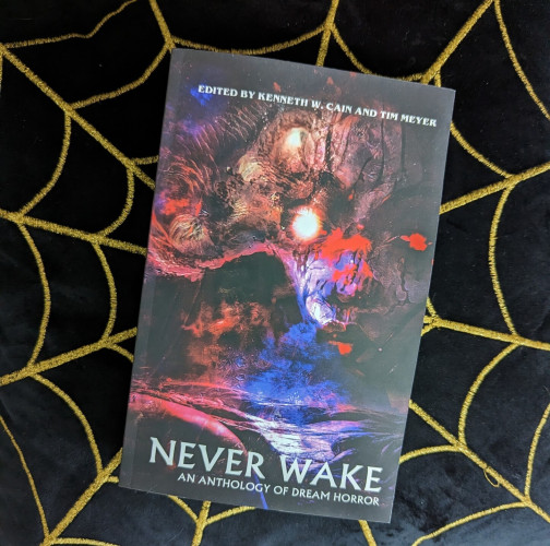 Copy of the paperback book NEVER WAKE: AN ANTHOLOGY OF DREAM HORROR. The cover has a weird face in a swirl of colors above what looks like a river or road.