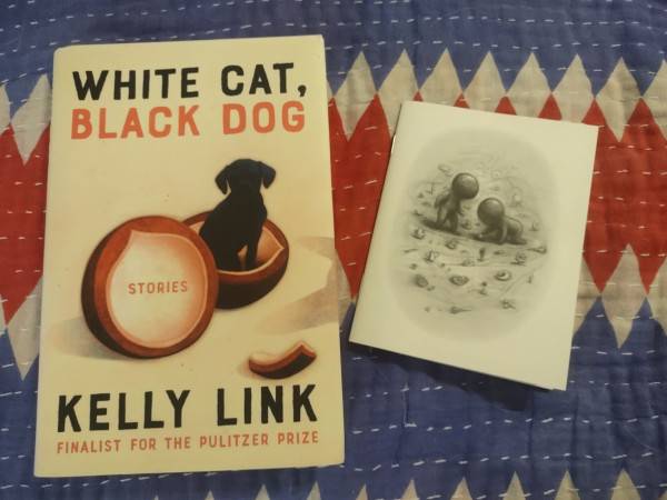 White Car, Black Dog book and small pamphlet story next to it on blue and re blanket. Cover of book shows a tiny dog inside an open walnut.  The single story shows to childlike figures looking on the ground.