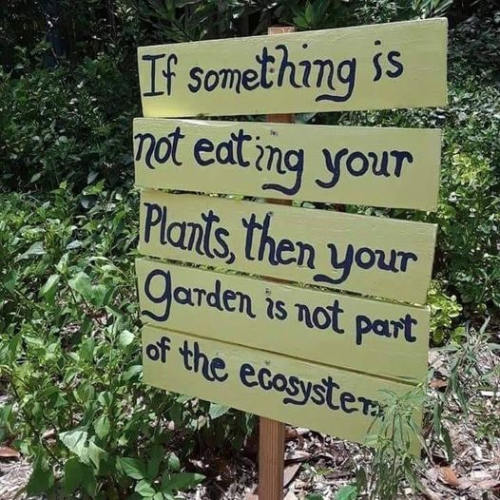 A handmade sign of five yellow planks with blue handwriting on them attached to a stake in a garden with the quote:

"If something is not eating your plants, then your garden is not part of the ecosystem.|