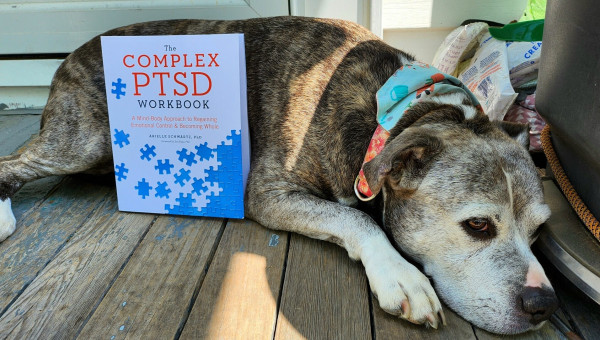 Ellie Mae and her review of the complex ptsd workbook