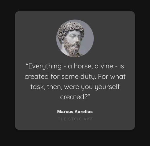 “Everything - a horse, a vine - is created for some duty. For what task, then, were you yourself created?”

By Marcus Aurelius