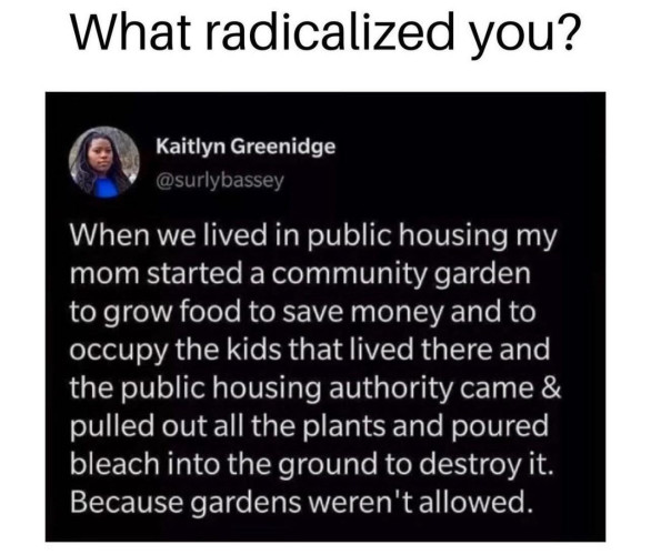 What radicalized you?

Kaitlyn Greenidge
@surlybassey

When we lived in public housing my mom started a community garden to grow food to save money and to occupy the kids that lived there and the public housing authority came & pulled out all the plants and poured bleach into the ground to destroy it. Because gardens weren't allowed. 