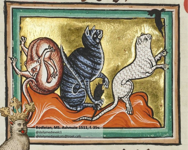 Picture from a medieval manuscript: Two cats hunting a mouse, a third on is licking itself