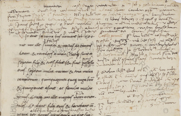 A page of 15th C script with the start of the Vulgate Job in one column left of center. Above and to the right are Giovanni Pico della Mirandola's marginal notes in an almost illegible cursive