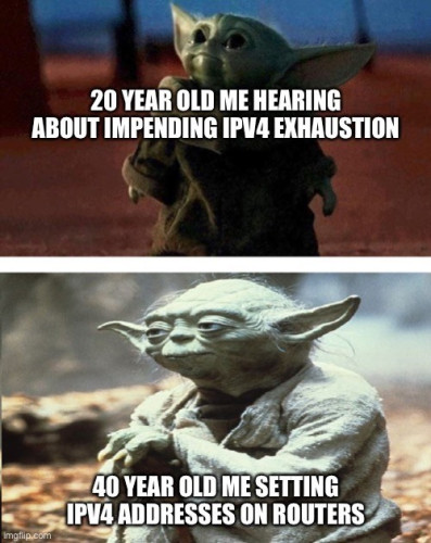 This is a meme about IPv4 getting exhausted by 2020. 

Baby Yoda (Grogu) in first panel : 20-year-old me hearing about impending IPV4 exhaustion.

Yoda in 2nd panel: 40-year-old me setting IPV4 Addresses on router 