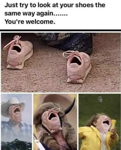Text: Just try to look at your shoes the same way again.........
You're welcome.

Top picture is of a pair of shoes that look like they're screaming. Bottom three pictures are of someone photoshopped those shoes into various scenes where they replace people's faces and look like people are experiencing unimaginable horror 