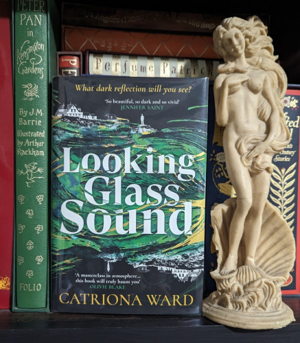 The UK edition hardcover for Catriona Ward's LOOKING GLASS SOUND. A man stands on a rock in the middle of a teeming ocean with a house off in the distance. The image is reflected/inversed, upside down underneath.