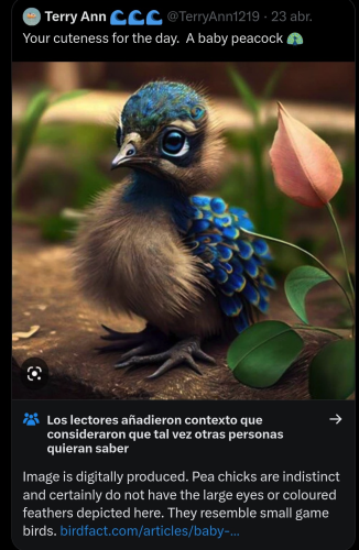 An AI generated idea of what a baby peacock should look like. It has colorful blue and green feathers like an adult bird and too many toes.  