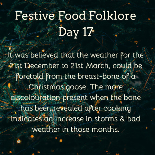 Festive Food Folklore - Day 18

It was believed that the weather for the 21st December to 21st March, could be foretold from the breast-bone of a Christmas goose. The more discolouration present when the bone has been revealed after cooking indicates an in increase in storms & bad weather in those months.

Cream text against a background of lights on Christmas tree branches