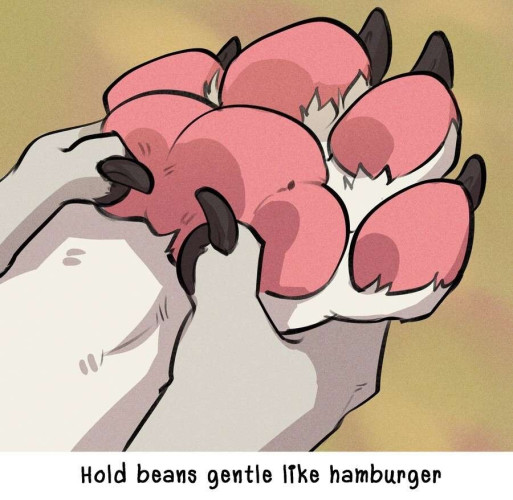 Picture shows a Footpaw, being held in someone’s hands like a hamburger.