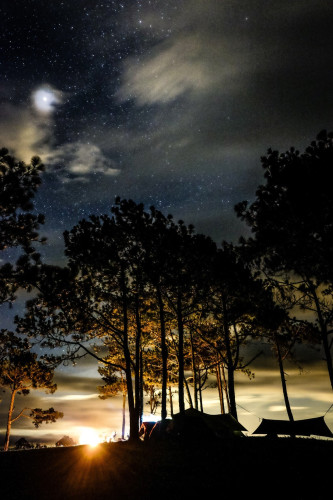 Photo of sunset behind black tree silhouette underneath night sky with moon. Photo by Dương Nhân