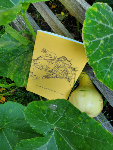 28th selection for The Sealey Challenge 2023 (reading 31 poetry works in the month of August): Poetry chapbook Lime Kiln Quay Road by Ben Ladouceur (above/ground press), with its bright yellow cover, nestles amidst the bright green leaves, yellow blossoms and yellow fruit of - well, not a zucchini/marrow, but probably a squash. Weathered bits of a wooden fence around the vegetable garden are visible.