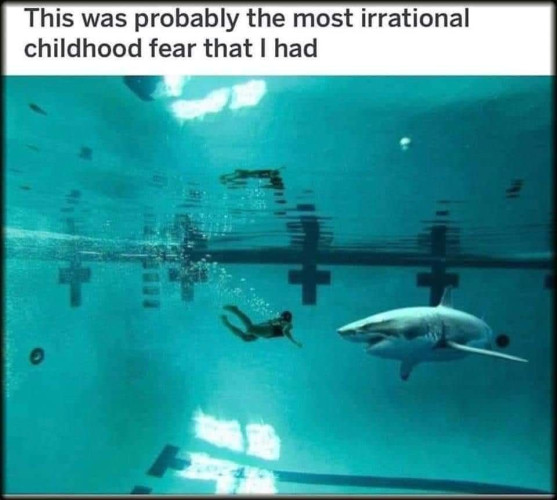 A picture of a swimmer in a pool with a shark and the saying This was propably the most irrational childhood fear that I had