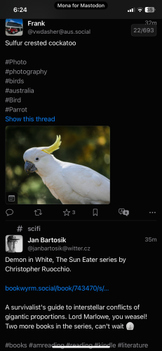 My Mastodon timeline juxtaposed a photo of an Australian parrot that is white with beautiful bright yellow feathers at the top of the head with the book title “Demon in White”