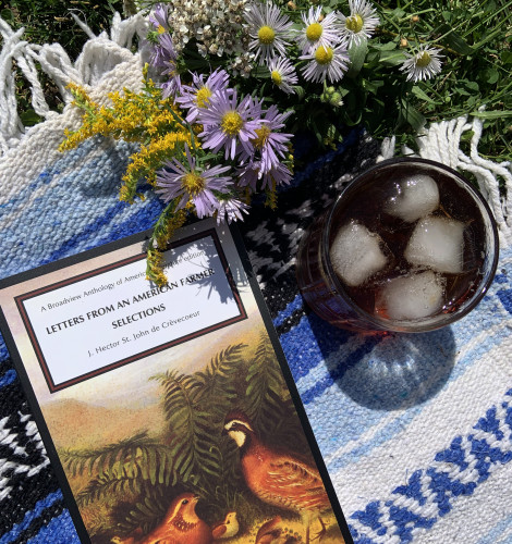 A copy of Letters from an American Farmer is lying on a blue striped blanket on the grass. Next to it are a spray of yellow and purple flowers and a glass of iced tea.