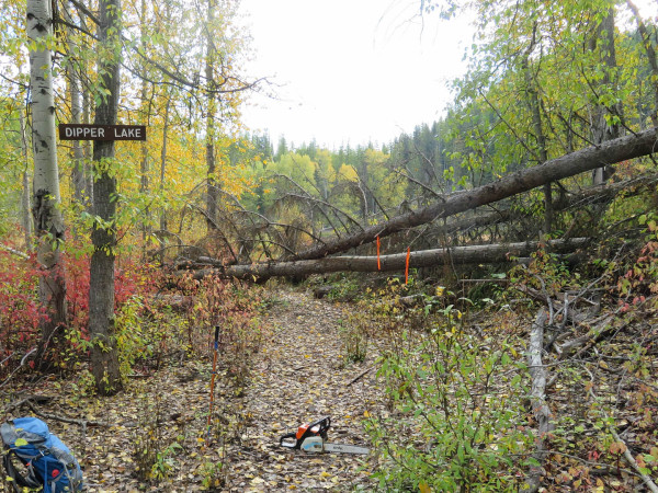 Blowdown on the trail into Dipper Lake just before removal by a work party from the Kimberley Nature Park Society. 