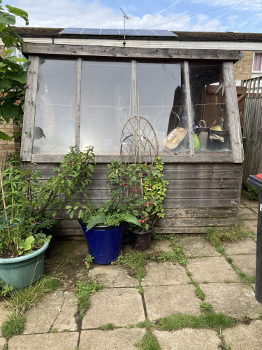 Outside daytime. Front view of large potting shed with big windows, potted plants in front, blue sky above.