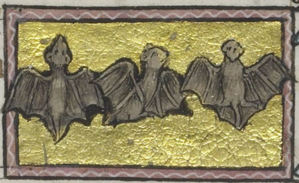 Three bats on gold background with a pink frame.