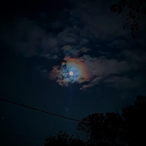 A nearly full moon in the nighttime sky shining through some clouds with a rainbow-like aura. The silhouettes of trees and a power line are visible in the foreground.