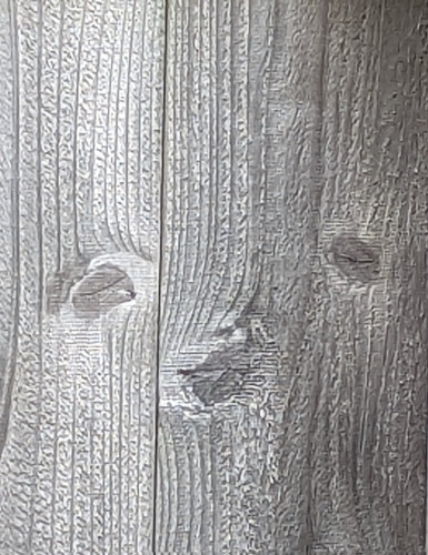 A face in my fence made up from the knots and whorls in the wood #1