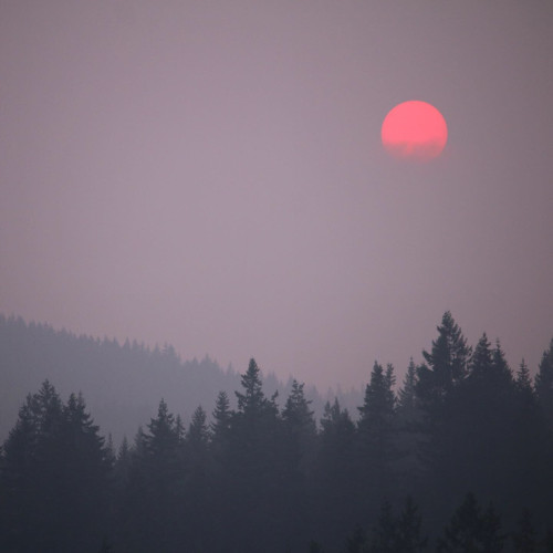 Photo of the sun, a deep red, being blotted out by wildfire smoke in the middle of the day.