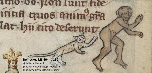 Picture from a medieval manuscript: A white cat behind a naked man, it looks like it is trying to touch him