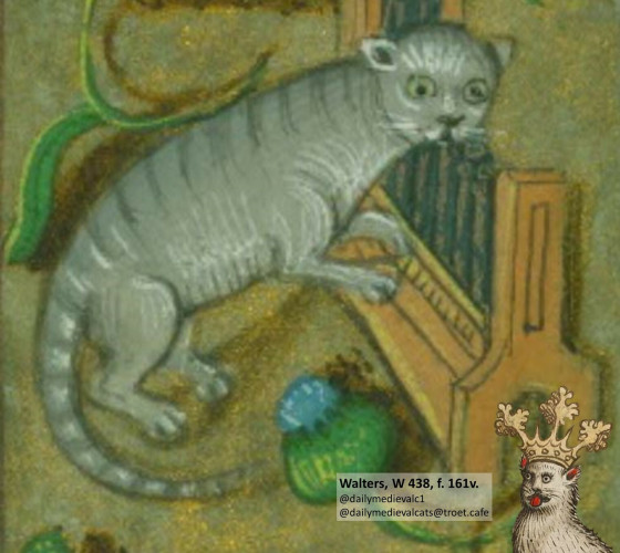 Picture from a medieval manuscript: A grey cat plays the organ